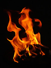 Image showing Fire