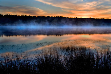 Image showing The river and reeds in a fog