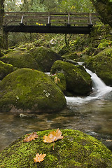 Image showing Great Landscape on the mountains in Portugal