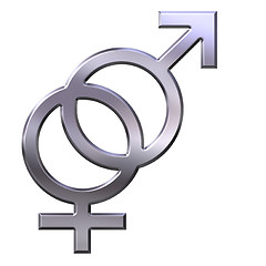 Image showing 3D Silver Gender Union
