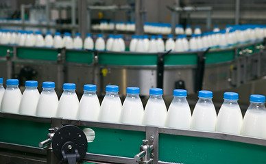 Image showing Dairy Plant.