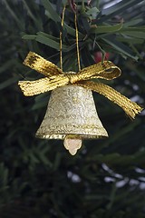 Image showing Golden Bell
