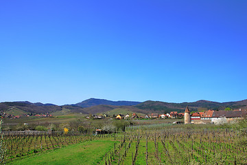 Image showing Winery