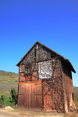 Image showing Winery