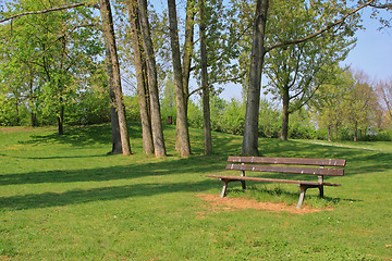 Image showing Summer landscape