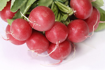 Image showing Radish