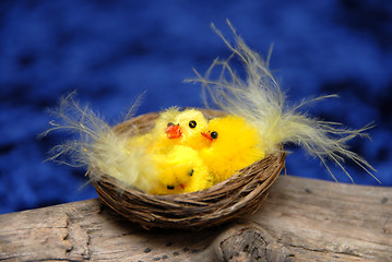 Image showing Easter Chickens