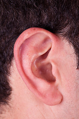 Image showing Male Ear