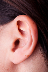 Image showing Female Ear