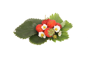 Image showing fresh strawberries