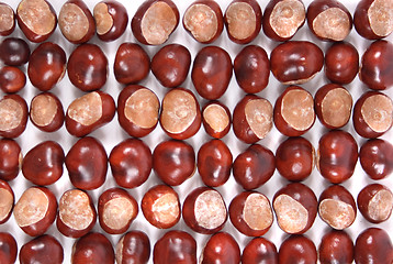 Image showing chestnuts background