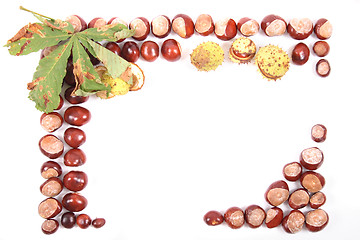 Image showing chestnuts background