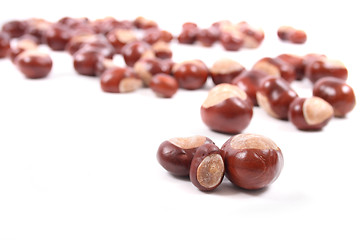 Image showing chestnuts  background