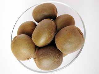 Image showing Kiwi