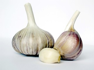 Image showing garlic