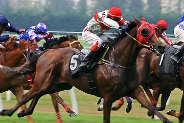 Image showing Horse Racing