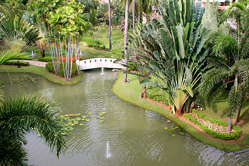 Image showing Garden