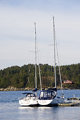 Image showing Sailboats