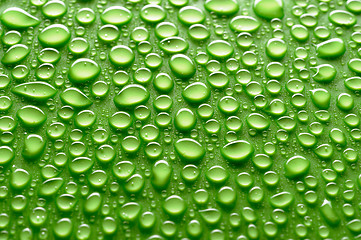 Image showing water drops