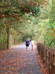 Image showing Walking Path