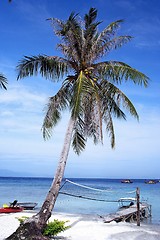 Image showing Redang Lang Tengah Beach