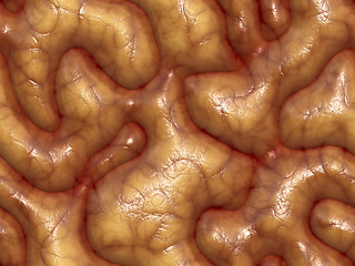 Image showing 3d brains