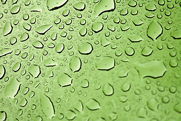 Image showing Water Droplets