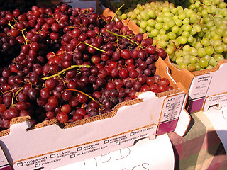 Image showing fresh grapes