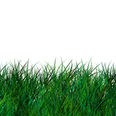 Image showing Isolated Green Grass