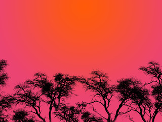 Image showing Purple Sky Silhouettes