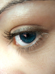 Image showing Pretty Eye Lashes
