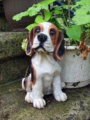 Image showing cute beagle