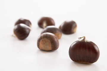 Image showing chestnuts