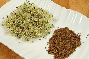 Image showing Alfalfa sprouts and seeds