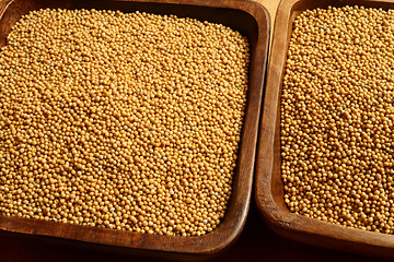 Image showing Mustard seeds