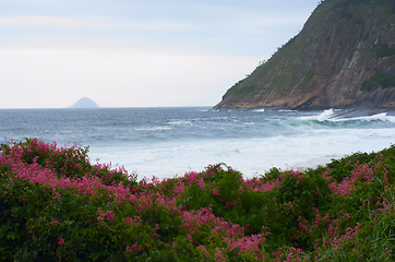 Image showing Pink sand bank vegetation in Itacoatiara beach