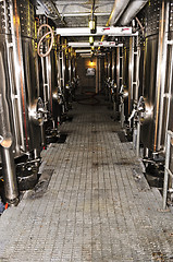 Image showing Wine making equipment