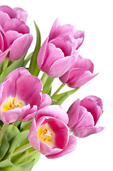 Image showing Pink tulips