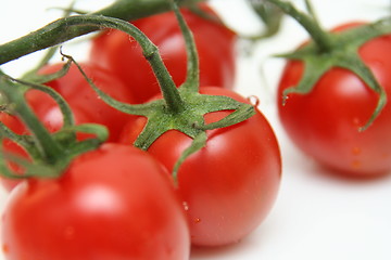 Image showing Tomatoes on white