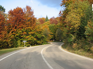 Image showing colors of fall