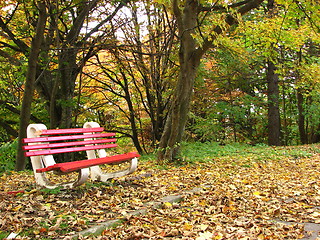 Image showing colors of fall