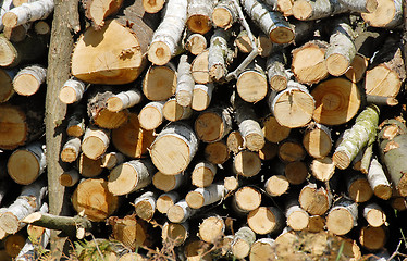 Image showing Firewood