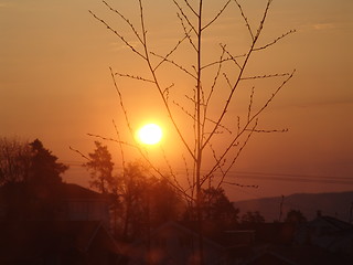 Image showing Morning sun
