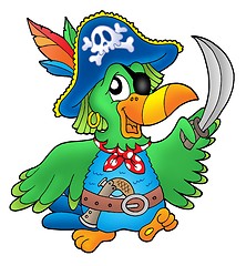 Image showing Pirate parrot