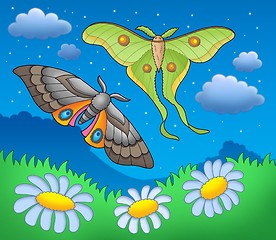 Image showing Night butterflies on meadow