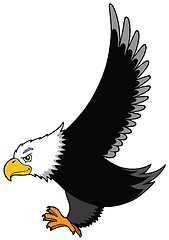 Image showing Flying American eagle