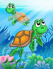 Image showing Little sea turtles