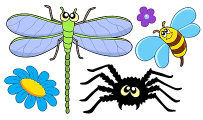 Image showing Cute insect collection