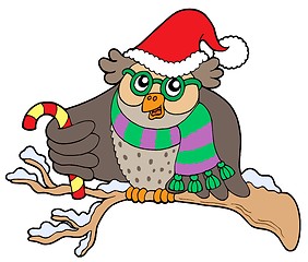 Image showing Owl in Christmas outfit