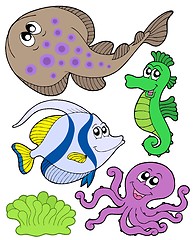 Image showing Cute marine animals collection 3